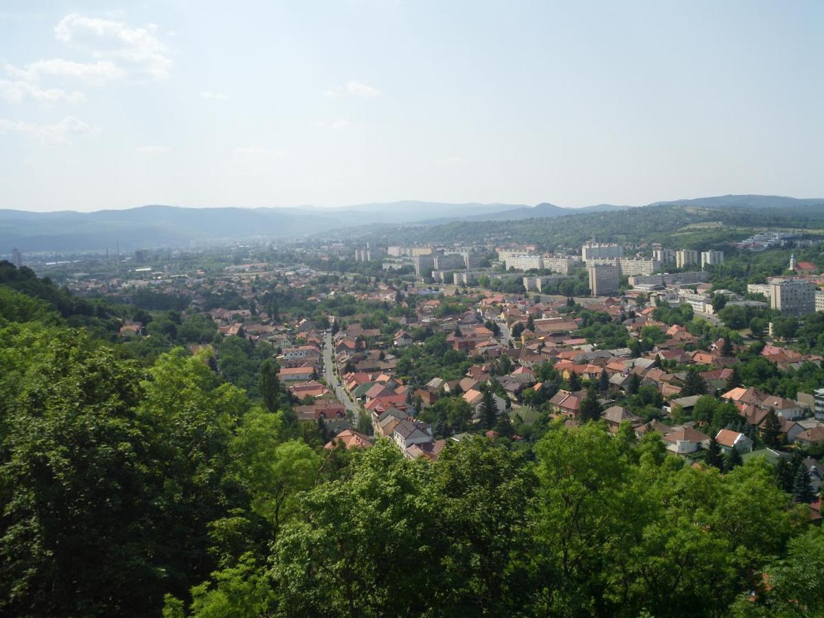 Balint - In The Heart Of * Miskolc